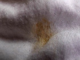 投稿/息子の嫁（28歳）の汚れたパンツ　サンプル画像09